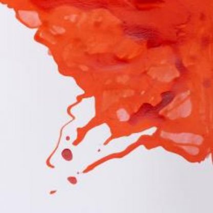 Winsor and Newton Drawing ink 14ml : Vermilion - Image 2