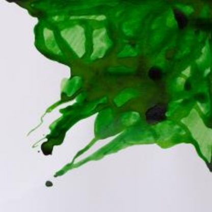 Winsor and Newton Drawing ink 14ml : Apple Green - Image 2