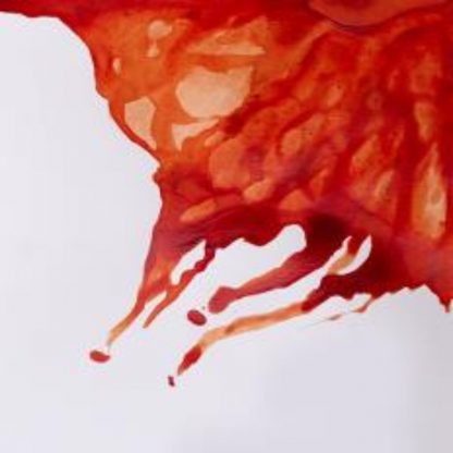 Winsor and Newton Drawing ink 14ml : Burnt Sienna - Image 2