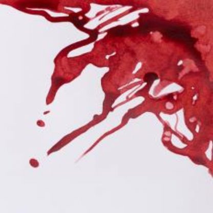 Winsor and Newton Drawing ink 14ml : Brick Red - Image 2