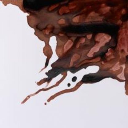 Winsor and Newton Drawing ink 14ml : Nut Brown - Image 2