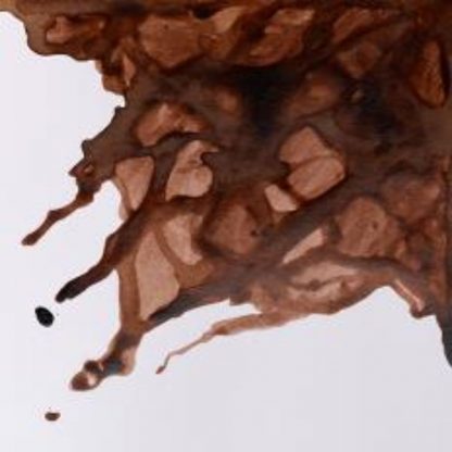 Winsor and Newton Drawing ink 14ml : Peat Brown - Image 2