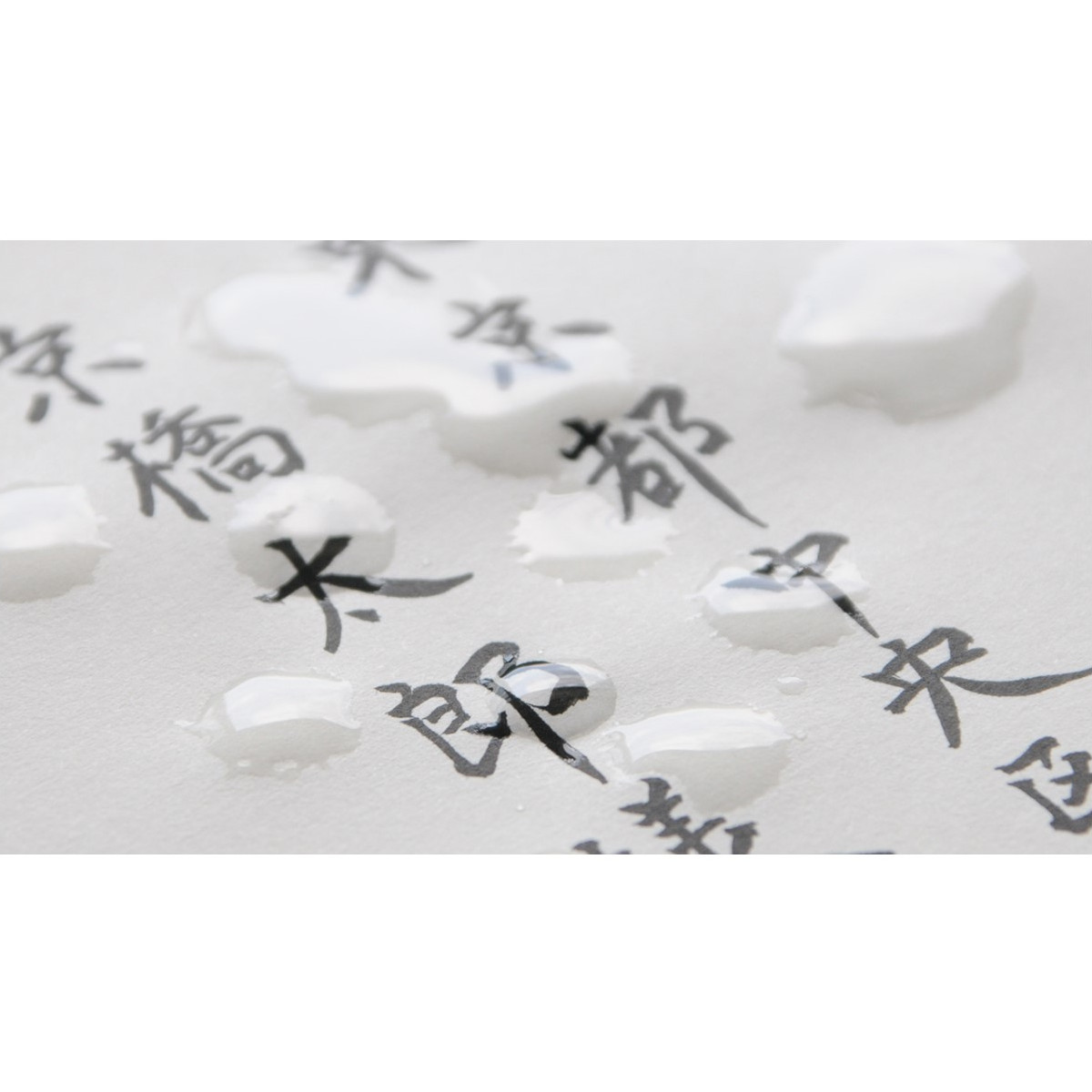 Pilot Shunpitsu Quick dry Pigment ink brush pen Medium tip Black - Image 3